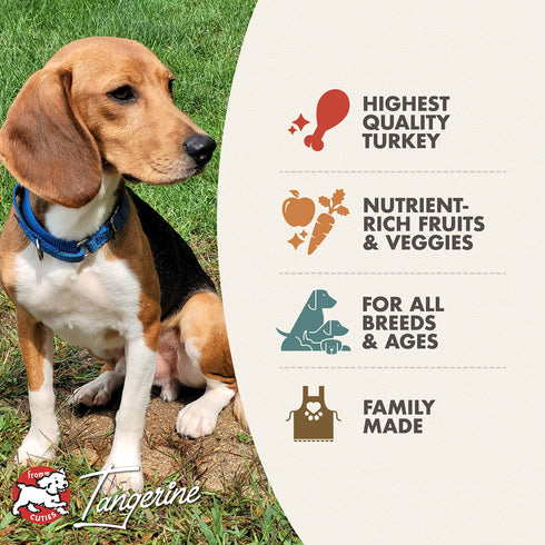 Fromm Four-Star Dry Dog Food - Game Bird - 4lb Bag